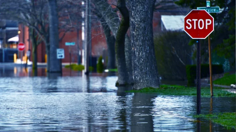 How to Avoid Flood Risks: The Definitive Guide to Property Resilience
