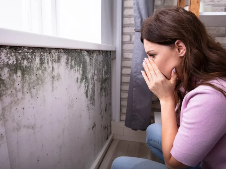How to Avoid Mold Risks: A Definitive Guide to Structural Health