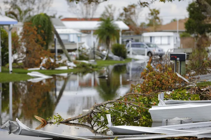 How to Reduce Hurricane Damage: A Definitive Guide to Structural Resilience